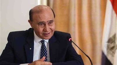 مميش : 10 ملايين طن تداول بضائع بميناء الأدبية عام 2018