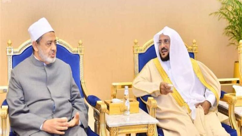 شيخ الأزهر يشيد بجهود