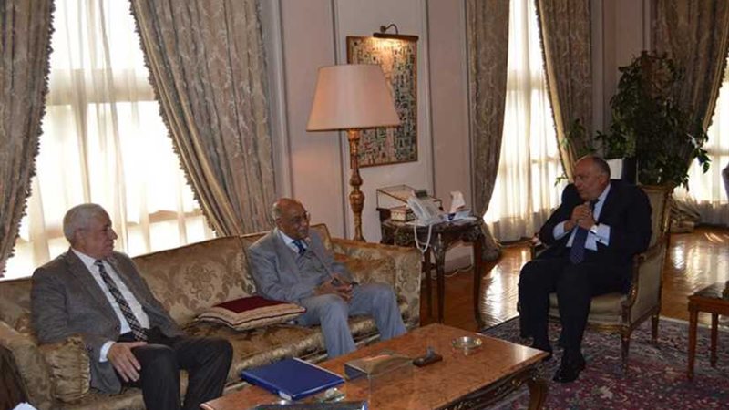 وزير الخارجية يلتقي