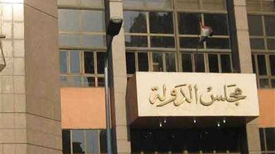 عدم قبول دعوى سارة خيرت الشاطر لإلغاء قرار منعها من السفر