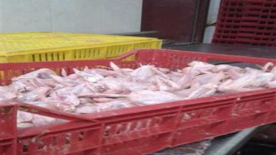 ضبط 6 أطنان هياكل دواجن ولحوم فاسدة قبل ترويجها باحتفالات رأس السنة بشبرا الخيمة