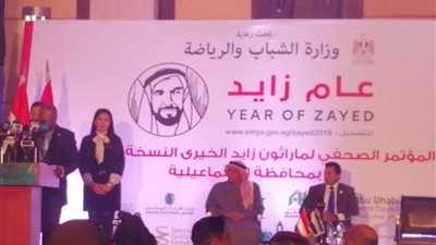 سفير الإمارات بالقاهرة: مصر والإمارات كيان واحد