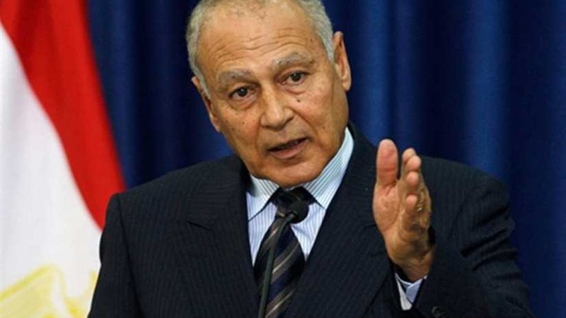 أبو الغيط يعرض تجربته