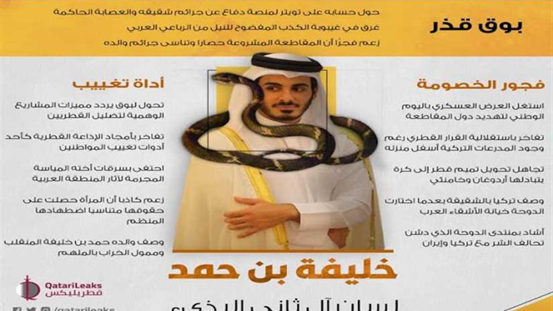 قطريليكس: شبح الإفلاس