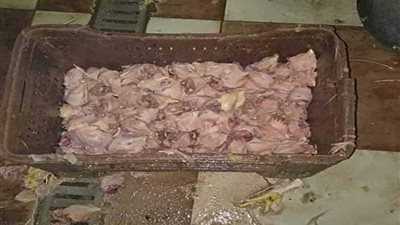 ضبط 2 طن هياكل فراخ مجمدة و500 كجم دواجن بمجزر غير مرخص بالمحلة