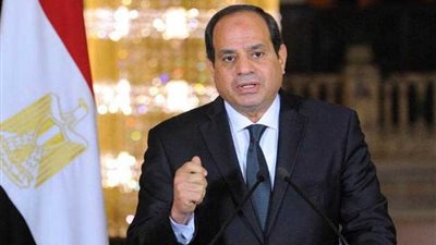 ريهام إبراهيم: الرئيس السيسي وجه بتطوير منظومة النقل والمزارع السمكية