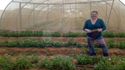 تريسا عاشقة مصر.. جاءت من أيرلندا لتستمتع بالزراعة العضوية في نويبع