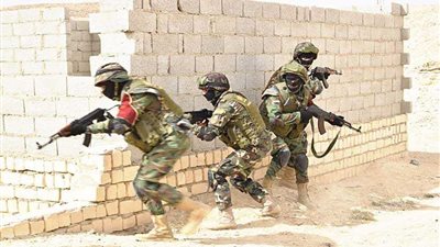 بالأرقام.. حصاد القضاء على الإرهاب في سيناء خلال 2018