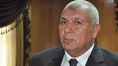 محافظ الوادي الجديد: التنمية المحلية تدعم المشروعات الصغيرة بالمحافظة