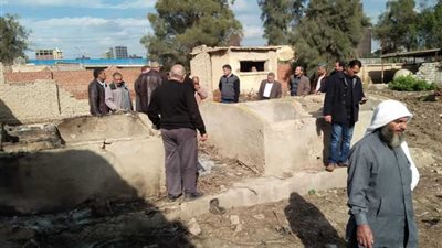 بديلاً عن المبيدات.. إنشاء صوب لإنتاج مفترسات للآفات بالبحيرة