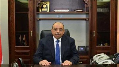 وزير التنمية المحلية: مصر تمتلك ثروة بشرية عظيمة