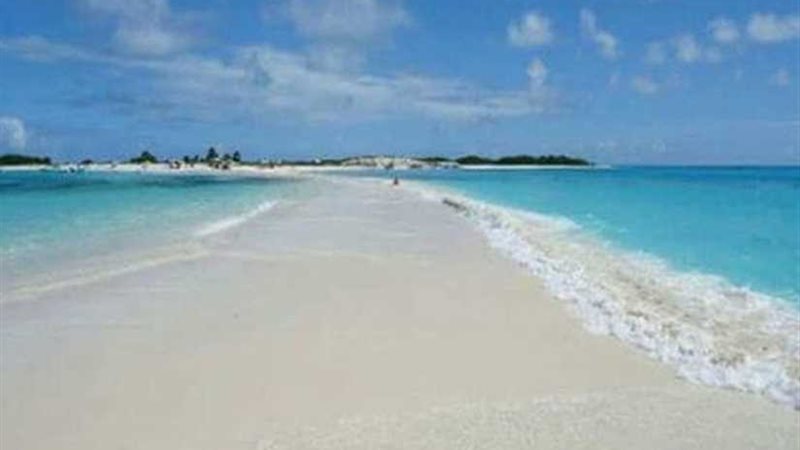 شرم اللولي بمرسى