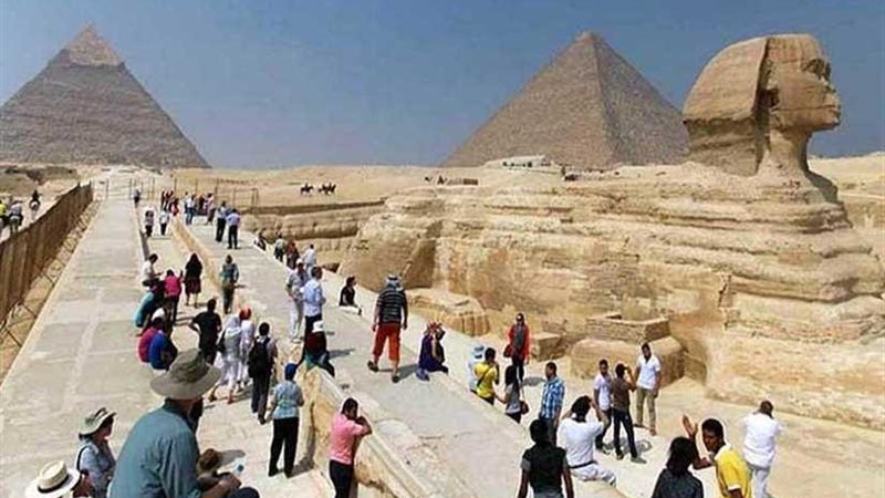 تعرف على حصاد قطاع