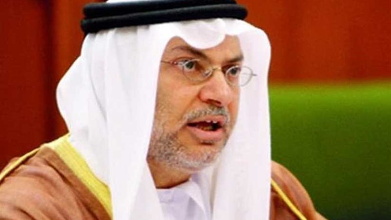 قرقاش: المحور العربي