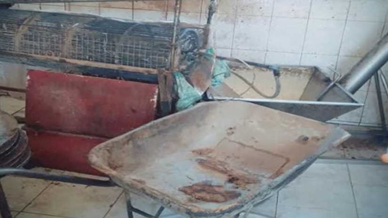  معصرة الزيتون مشروع