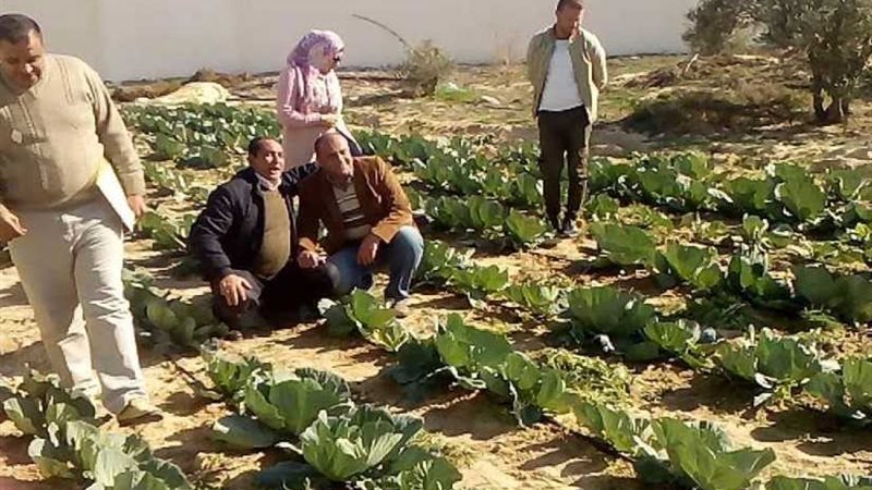 رئيس جامعة العريش