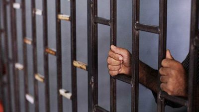 السجن 15 عاما لمزارع في قضية 