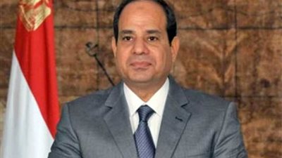 مستثمرون: تنفيذ مبادرة الرئيس لا يكون بالدعم النقدي فقط لـ