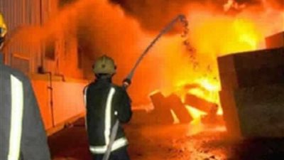 نفوق 4 آلاف دجاجة في حريق هائل في مزرعة دواجن بالبحيرة