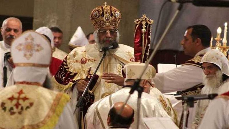 المصريون فى النمسا