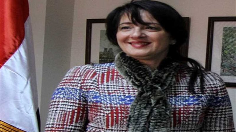 تنمية الصادرات: 11