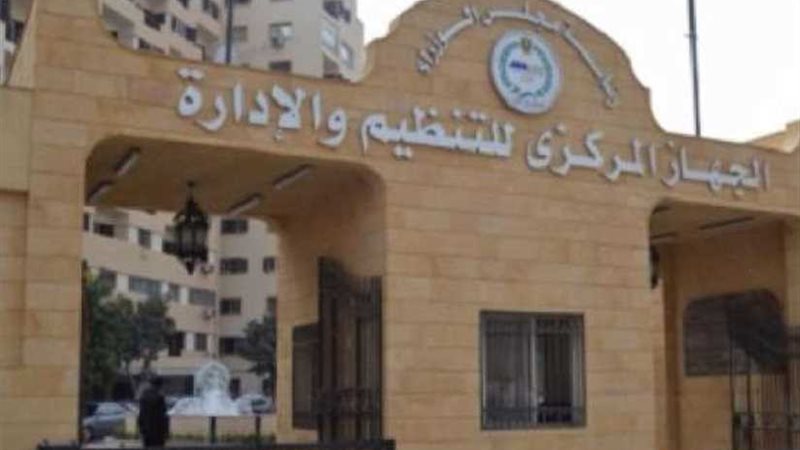 التنظيم والإدارة