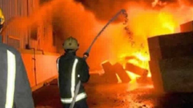 نفوق 4 آلاف دجاجة