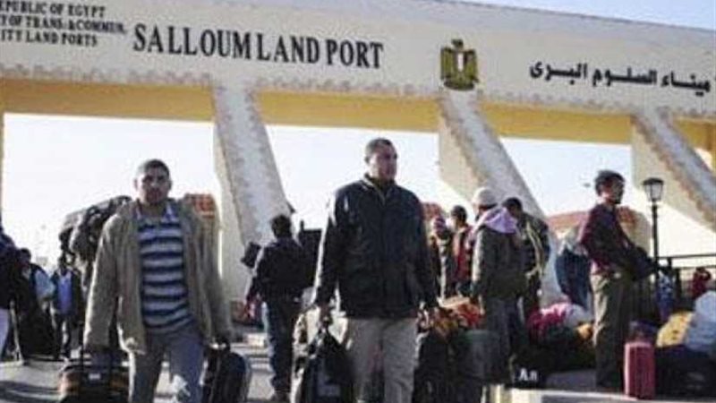 عودة 312 مصريًا من