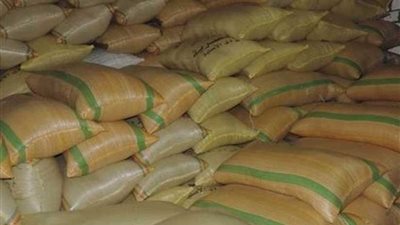 ضبط 602 طن قمح غير مطابقة للمواصفات ببني سويف