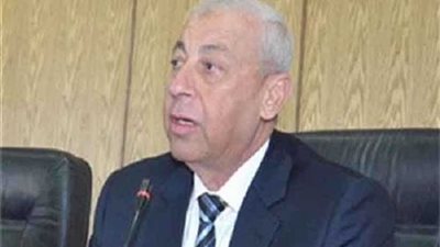 محافظ أسوان: 6 ملايين جنيه لإنشاء مرسيين بمعبد فيلة لخدمة السياح