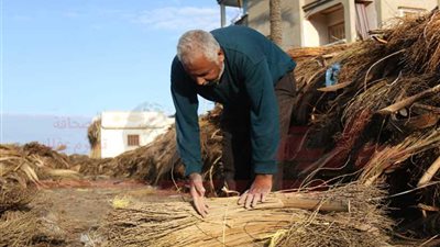 حكاية صور... جامع 