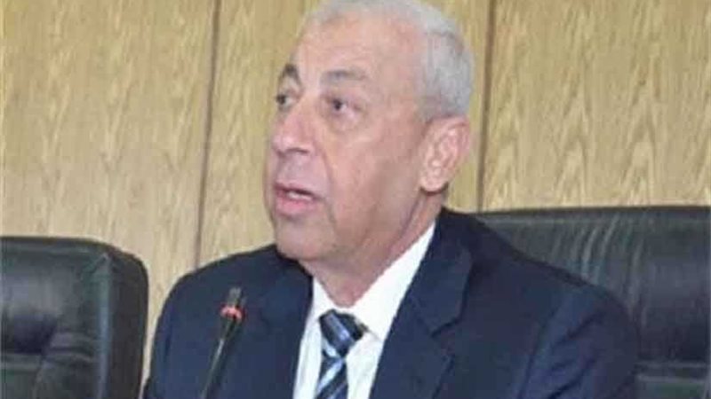 محافظ أسوان: 6 ملايين