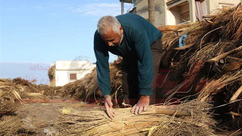 حكاية صور... جامع