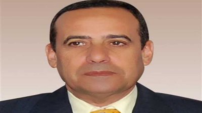 إزالة 57 تعديا على أراضي الدولة ضمن الموجة 12 بشمال سيناء