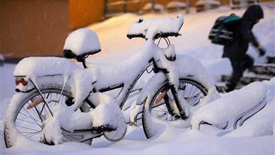 الثلوج تقتل البشر وتحرق الشجر في أوروبا (فيديو وصور)