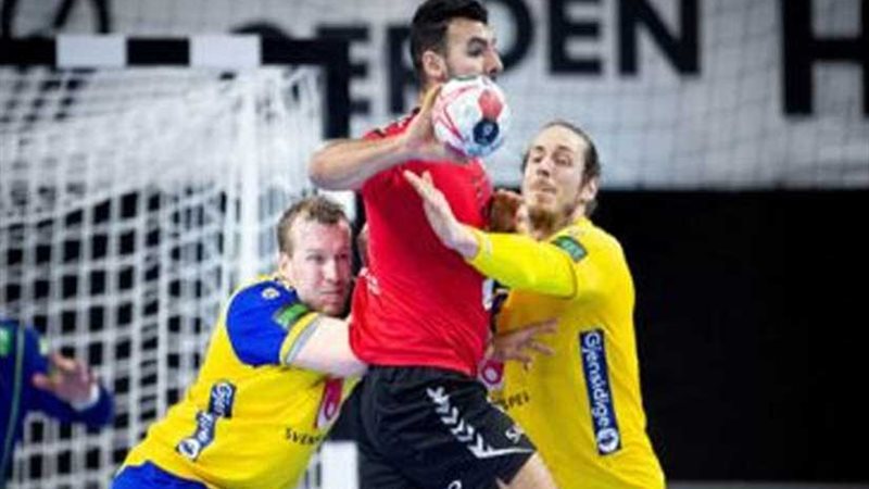 رئيس بعثة اليد في