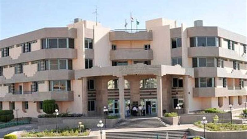 ناموس وذباب وفيروسات..