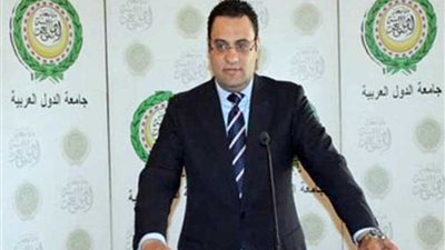 السفيرعفيفى : ينفى طلب وساطة الجامعة شأن مقاطعة ليبيا لقمة بيروت