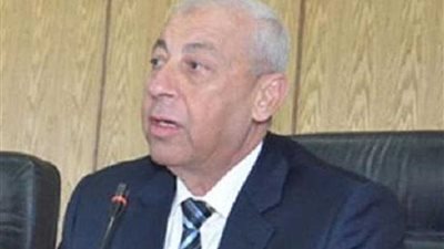 محافظ أسوان يؤكد قدرة مصر على مواجهة الصعاب