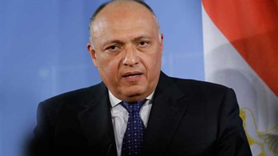 الخارجية تتابع التحقيقات الخاصة بالاعتداء على مصري بـ