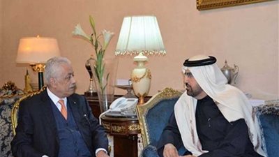 تعاون مصري إماراتي في مجال بنك المعرفة وتدريب المعلمين