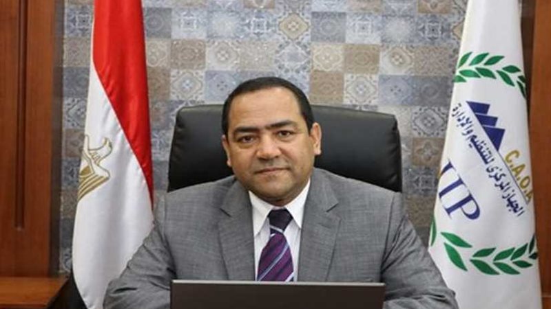 التنظيم والإدارة