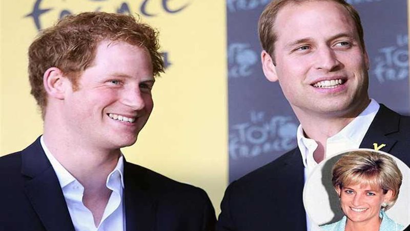 خصام أولاد الملوك