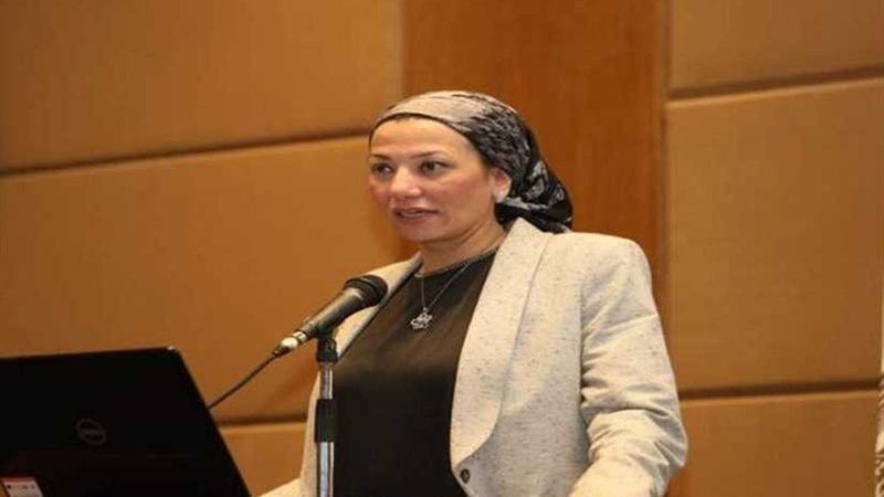 تنظيم مؤتمر الشباب