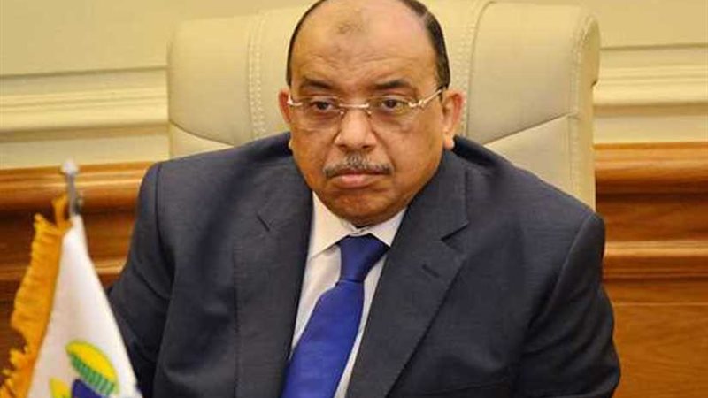 التنمية المحلية: