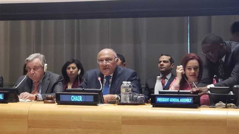 شكرى: الـ ٧٧ والصين