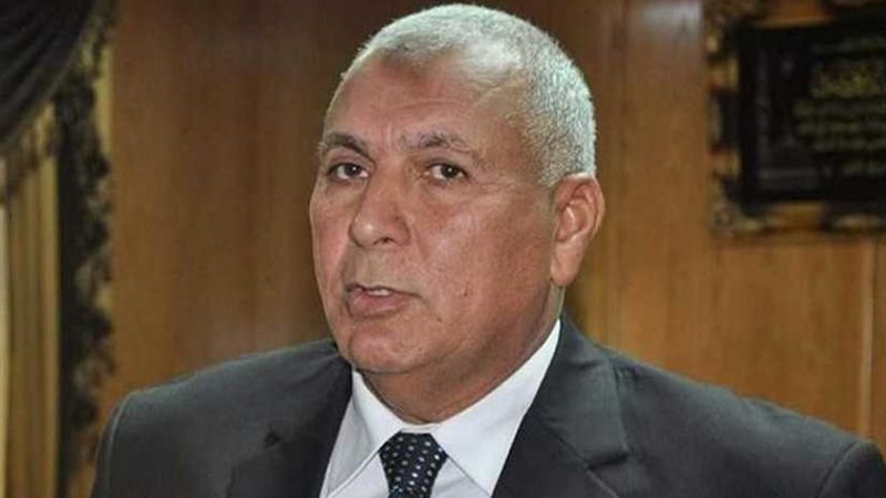 محافظ الوادي الجديد