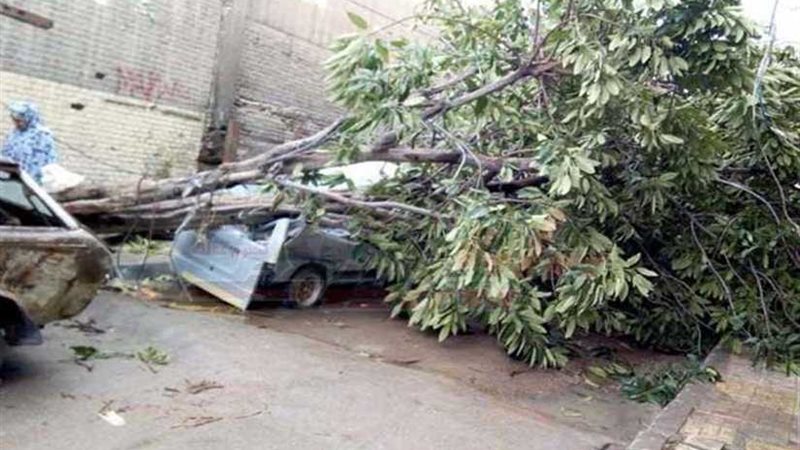 سقوط أشجار وأعمدة