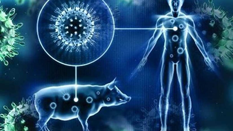 كردستان تعلن تسجيل