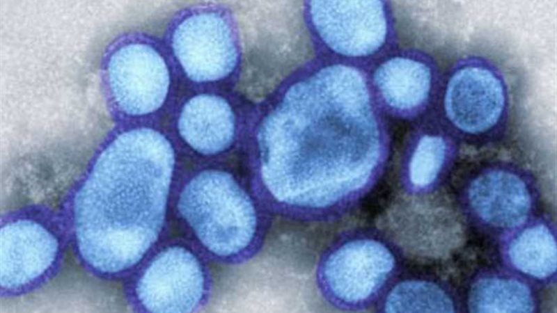 وفاة 40 شخصا جراء